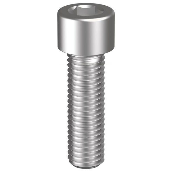 SKT CAP SCREW BSW PLN 1/4 X 2