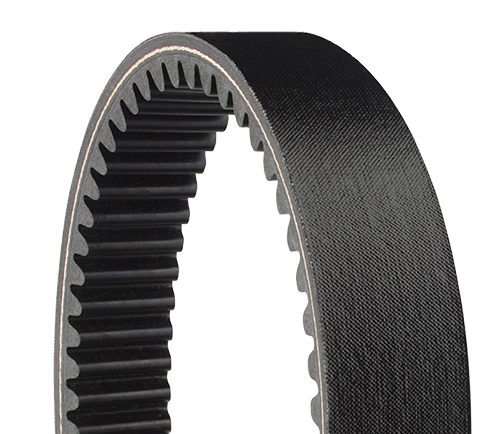 4 ROW POLYRIBBED BELT