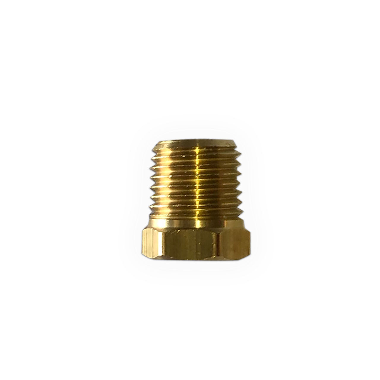 1/4 NPT BRASS PLUG