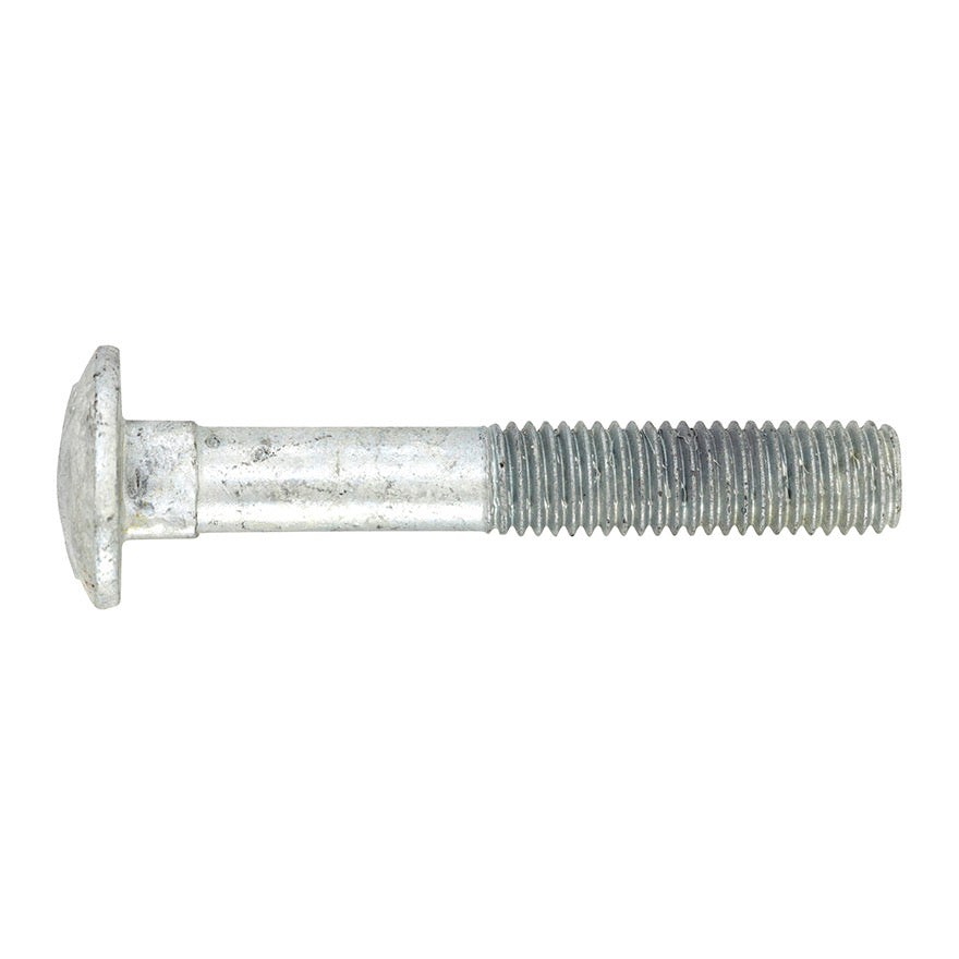 CUP HEAD STAINLESS - 3/8UNC X 1-1/2