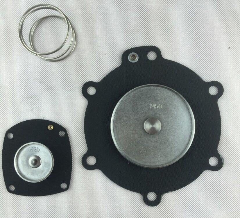 PARTS KIT SOLENOID VALVE DIAPHRAM GOYEN SSUIT 20BW AC