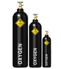 OXYGEN INCLUDES E SIZE BOTTLE