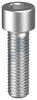 SKT CAP SCREW PLN M22 X 40