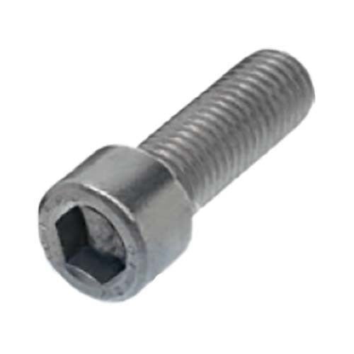 SKT CAP SCREW 304 -  M16 X 55