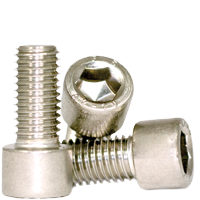 SKT CAP SCREW 316 M2.5 X 5