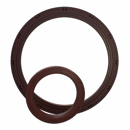 OIL SEAL  100 - 125 - 12.5 HTC5L  SILICON